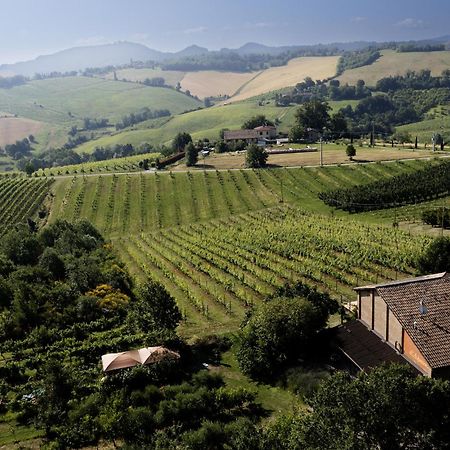 La Ca Dal Non Bioagriturismo - Alpenice Savignano sul Panaro Экстерьер фото