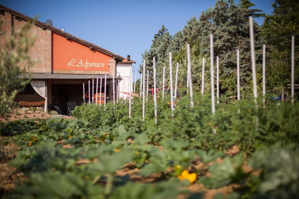 La Ca Dal Non Bioagriturismo - Alpenice Savignano sul Panaro Экстерьер фото