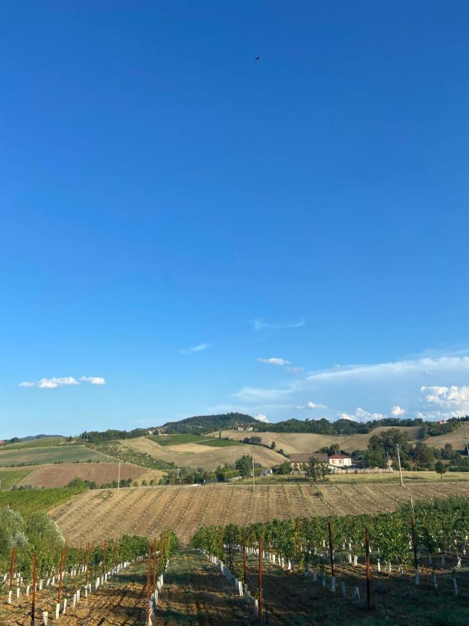 La Ca Dal Non Bioagriturismo - Alpenice Savignano sul Panaro Экстерьер фото