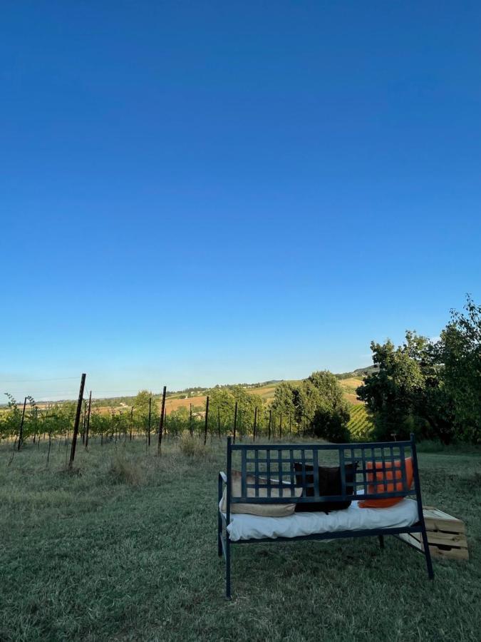 La Ca Dal Non Bioagriturismo - Alpenice Savignano sul Panaro Экстерьер фото