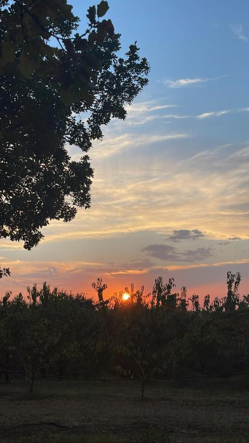 La Ca Dal Non Bioagriturismo - Alpenice Savignano sul Panaro Экстерьер фото