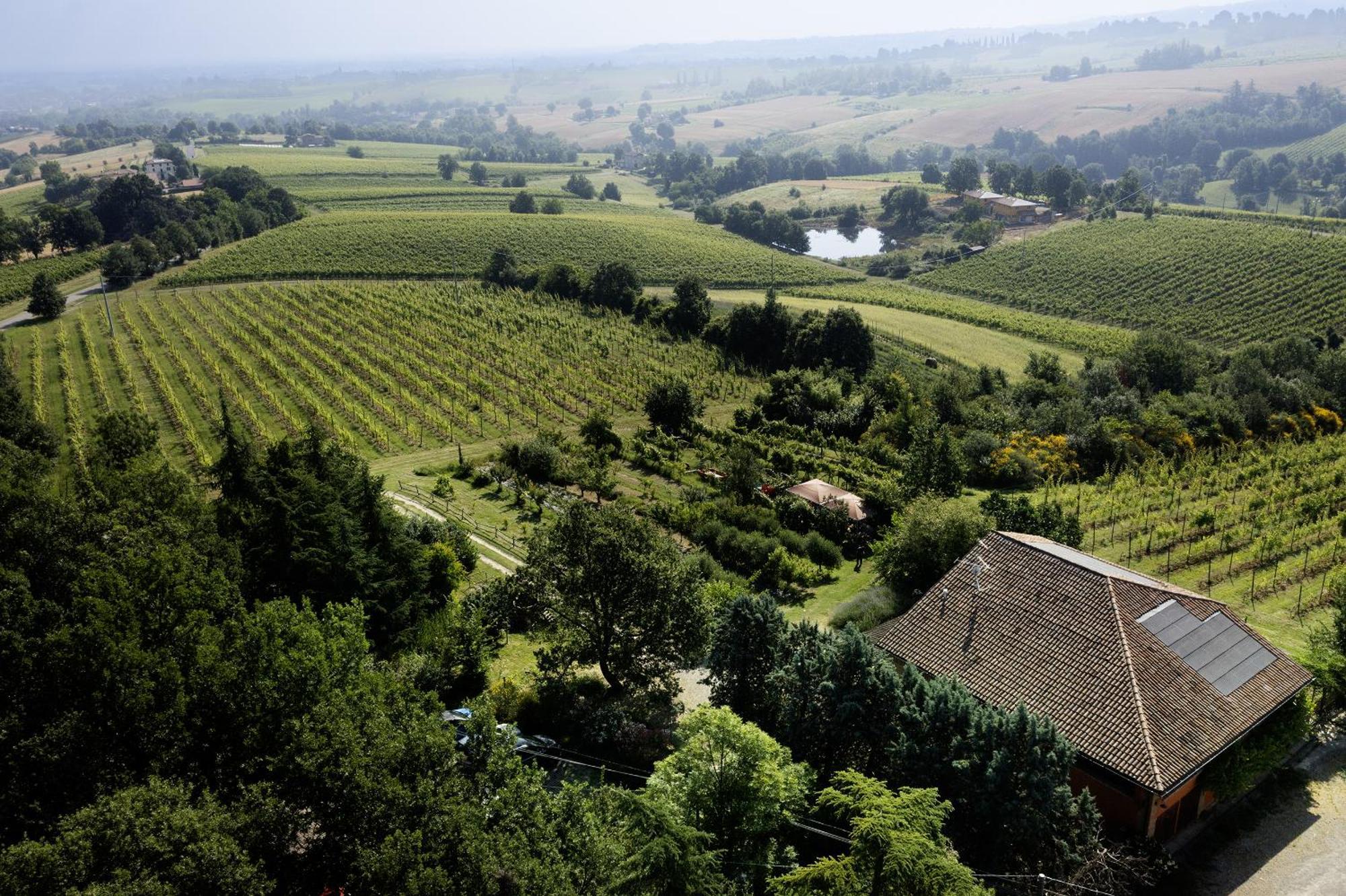 La Ca Dal Non Bioagriturismo - Alpenice Savignano sul Panaro Экстерьер фото