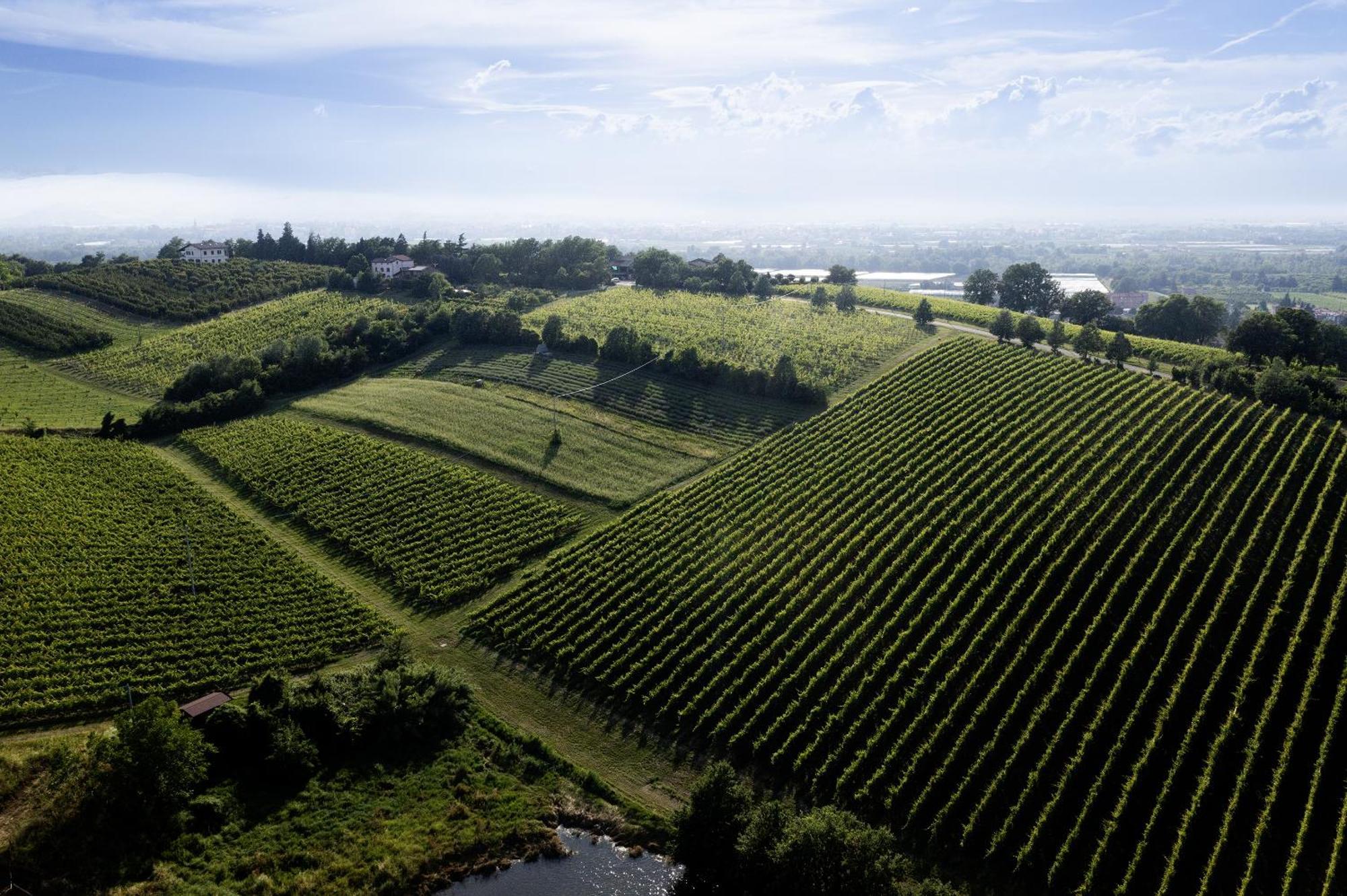 La Ca Dal Non Bioagriturismo - Alpenice Savignano sul Panaro Экстерьер фото