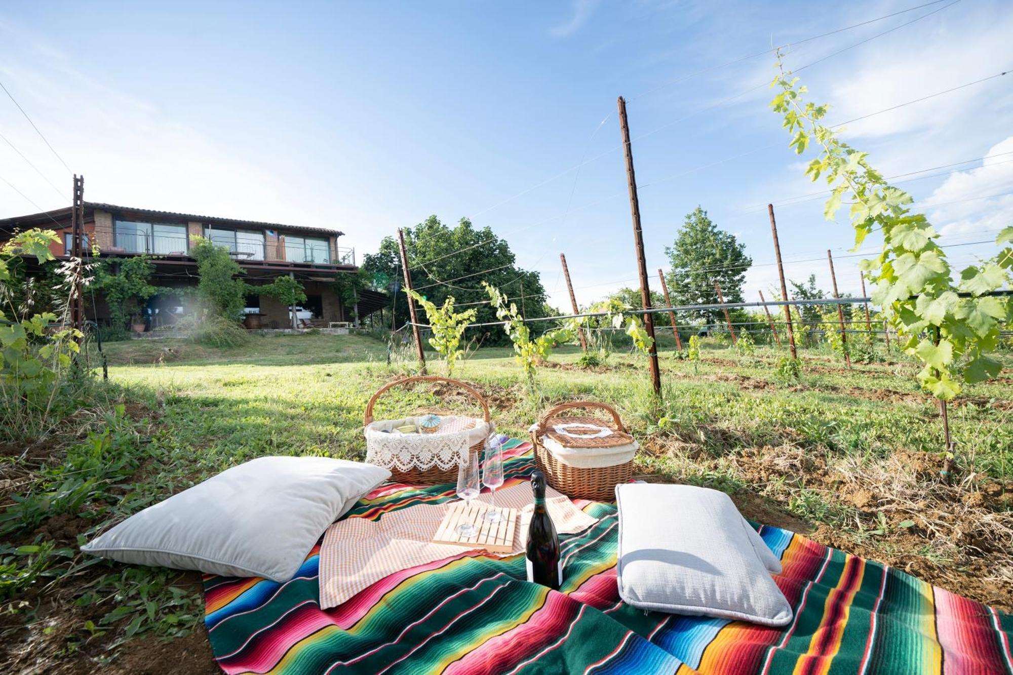 La Ca Dal Non Bioagriturismo - Alpenice Savignano sul Panaro Экстерьер фото