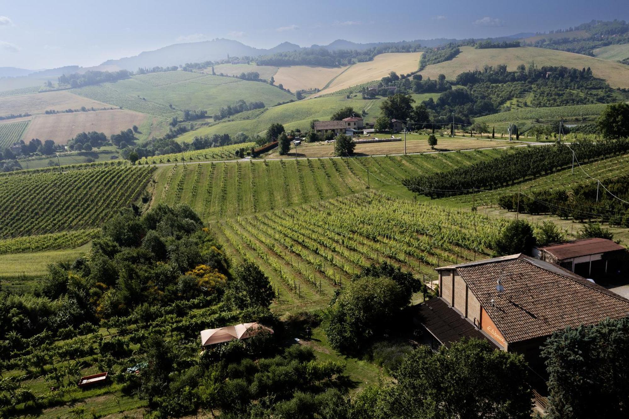 La Ca Dal Non Bioagriturismo - Alpenice Savignano sul Panaro Экстерьер фото