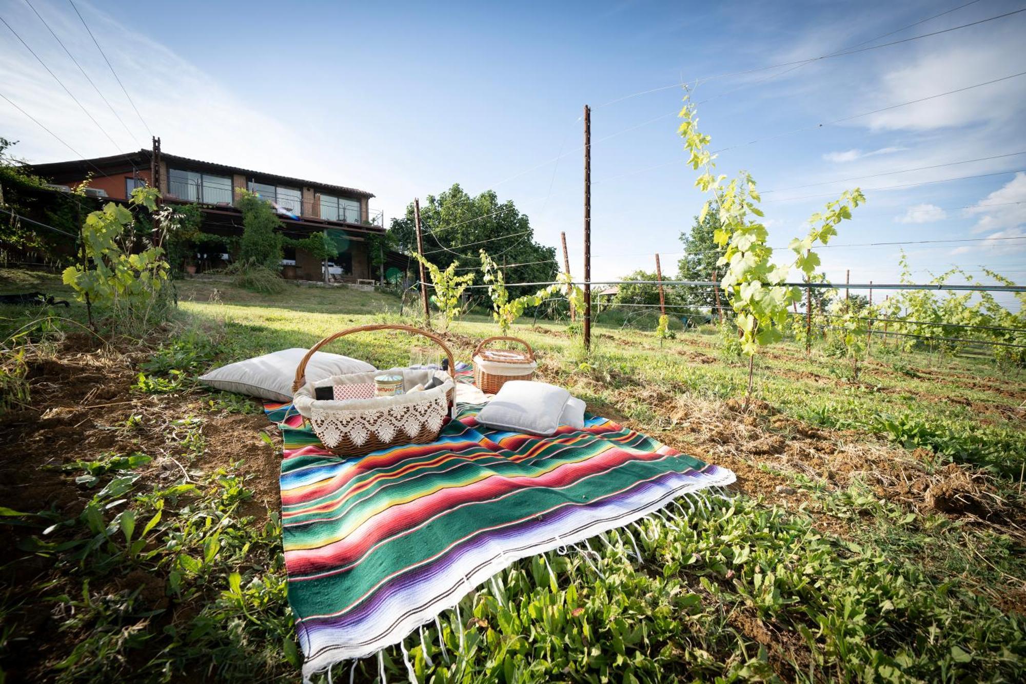 La Ca Dal Non Bioagriturismo - Alpenice Savignano sul Panaro Экстерьер фото