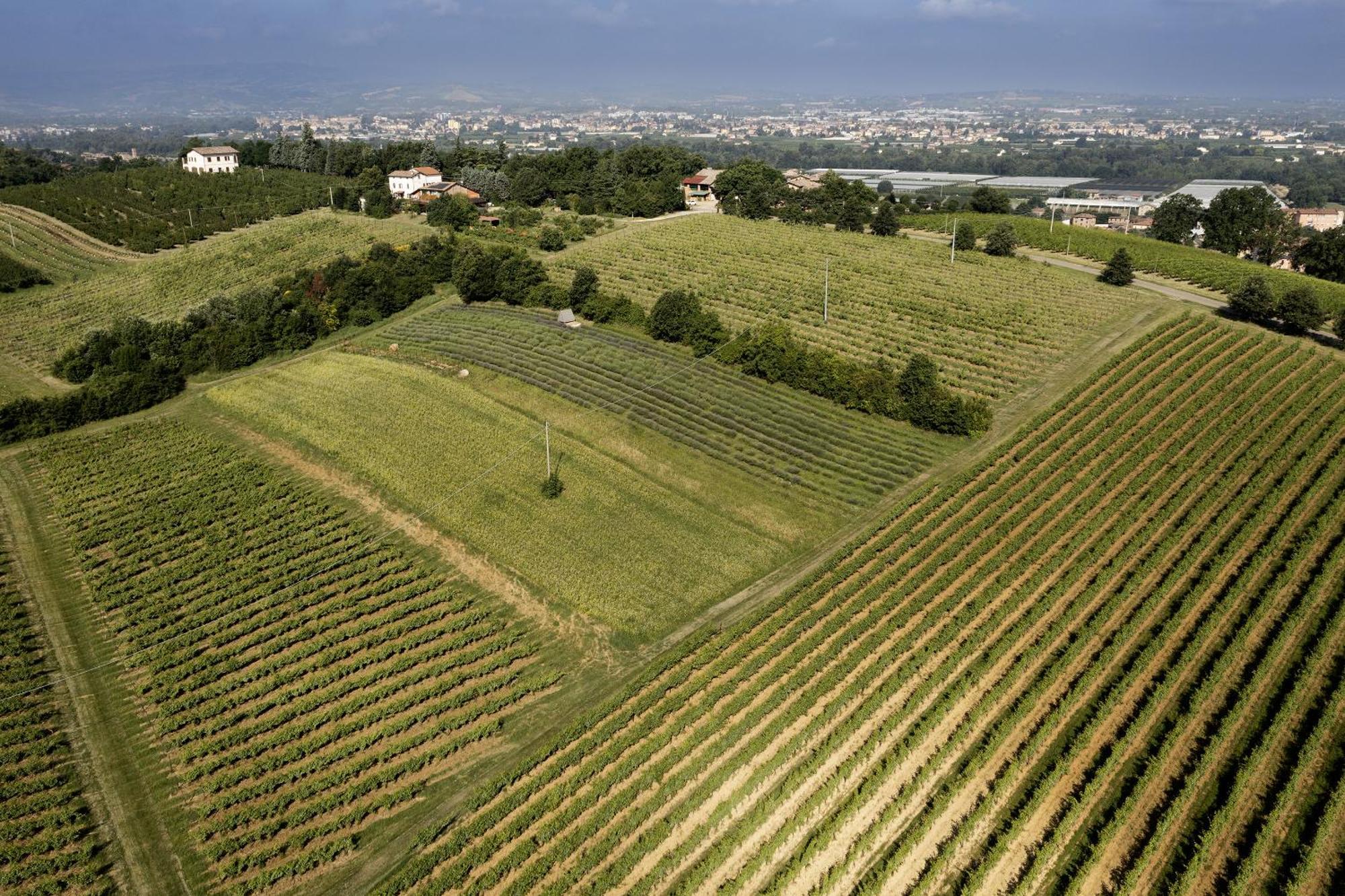 La Ca Dal Non Bioagriturismo - Alpenice Savignano sul Panaro Экстерьер фото