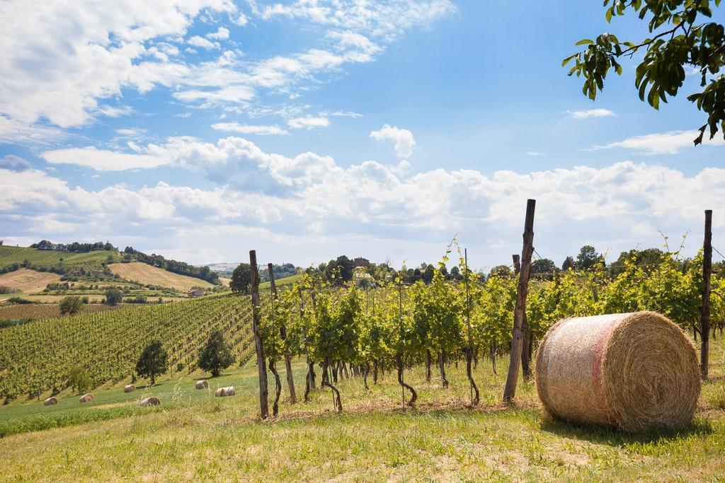 La Ca Dal Non Bioagriturismo - Alpenice Savignano sul Panaro Экстерьер фото